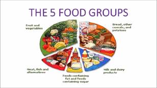 NS 2 Unit 2 The 5 food groups video - YouTube